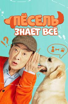 Пёсель знает всё Пёсель знает всё
