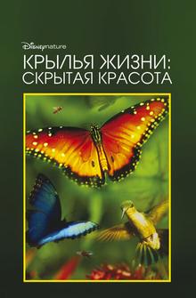 Крылья жизни: Скрытая красота Крылья жизни: Скрытая красота