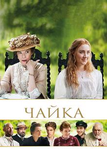 Чайка Чайка