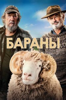 Бараны Бараны