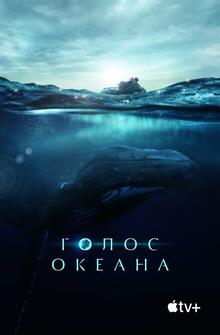 Голос океана Голос океана