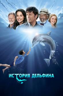 История дельфина