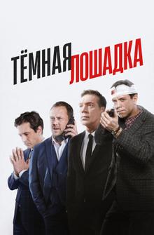 Тёмная лошадка Тёмная лошадка