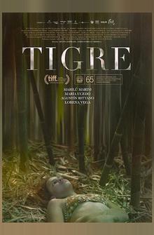 Тигр Тигр