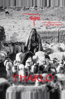 Тарло Тарло