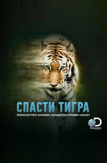 Спасти тигра Спасти тигра