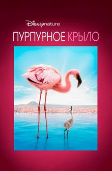 Пурпурное крыло Пурпурное крыло