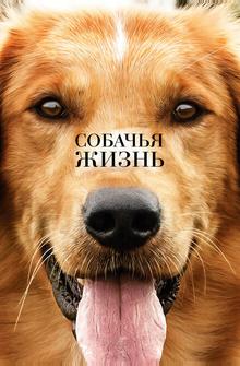 Собачья жизнь Собачья жизнь