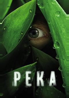 Река