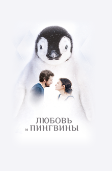 Любовь и пингвины Любовь и пингвины