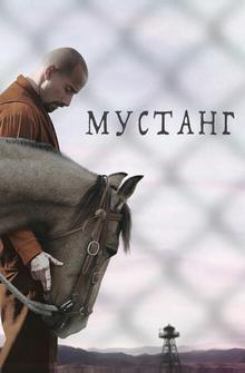 Мустанг Мустанг