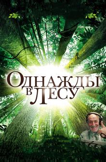 Однажды в лесу Однажды в лесу
